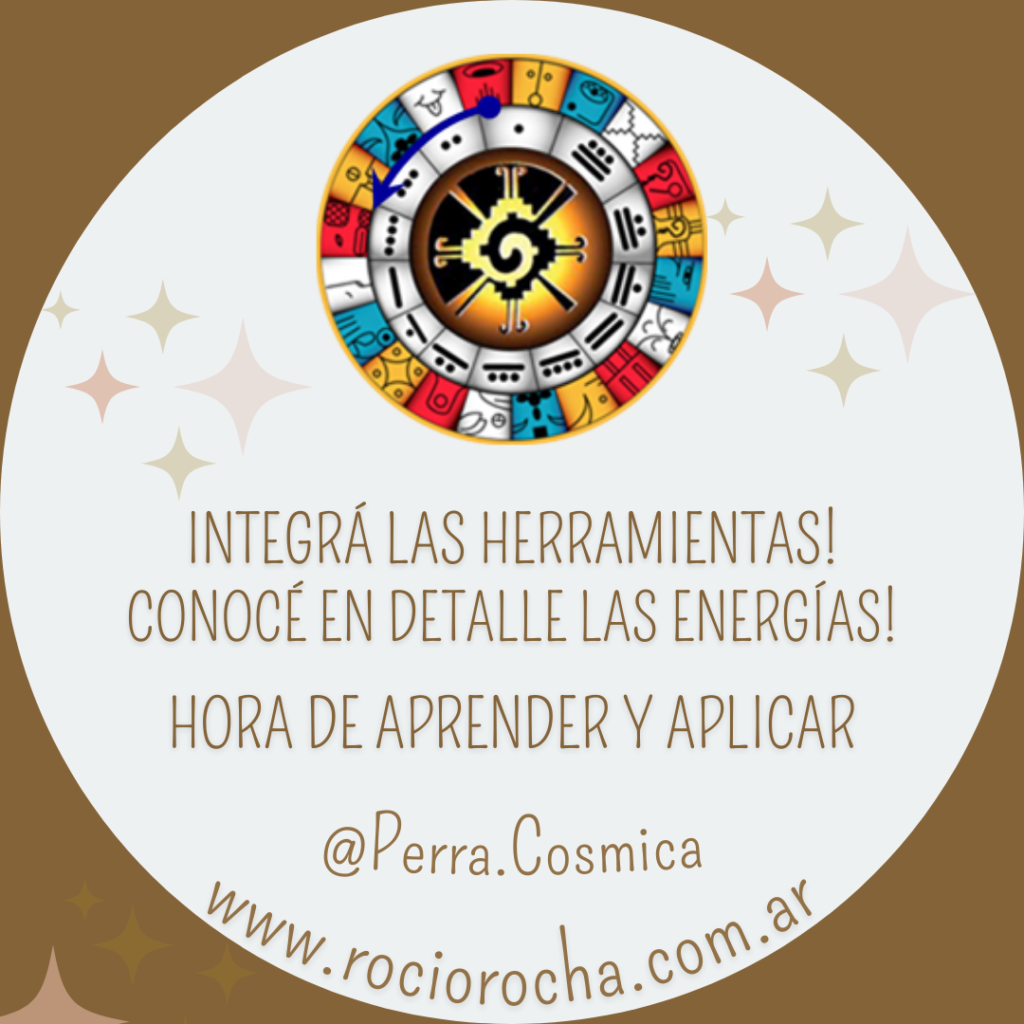 www.rociorocha.com.ar (1)